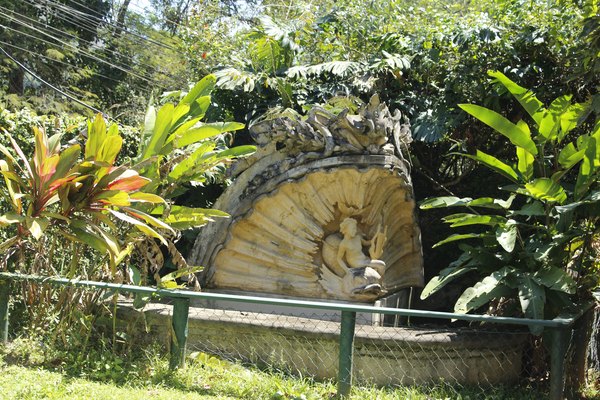 O jardim na entrada — Colégio Altiora
